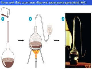 Swan neck flask experiment disproved spontaneous generation(1861)
 