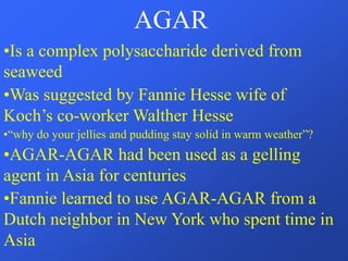 AGAR
•Is a complex polysaccharide derived from
seaweed
•Was suggested by Fannie Hesse wife of
Koch’s co-worker Walther Hesse
•“why do your jellies and pudding stay solid in warm weather”?
•AGAR-AGAR had been used as a gelling
agent in Asia for centuries
•Fannie learned to use AGAR-AGAR from a
Dutch neighbor in New York who spent time in
Asia
 