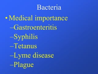 Bacteria
•Medical importance
–Gastroenteritis
–Syphilis
–Tetanus
–Lyme disease
–Plague
 
