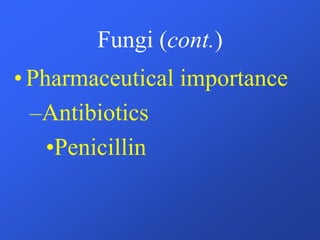 Fungi (cont.)
•Pharmaceutical importance
–Antibiotics
•Penicillin
 
