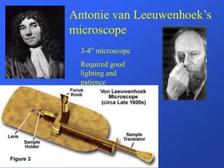 Antonie van Leeuwenhoek’s
microscope
3-4” microscope
Required good
lighting and
patience
 