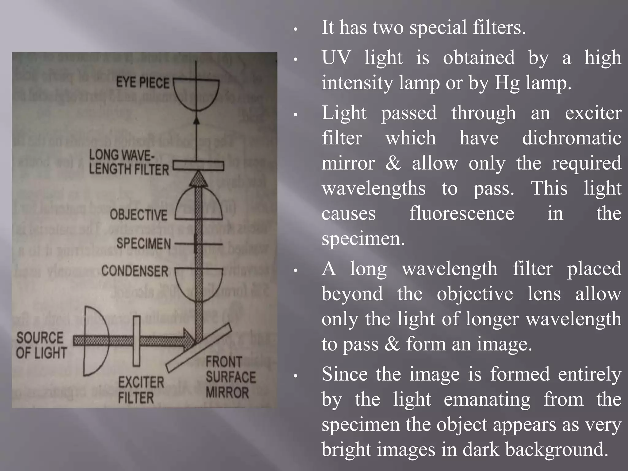 • It has two special filters.
• UV light is obtained by a high
intensity lamp or by Hg lamp.
• Light passed through an exciter
filter which have dichromatic
mirror & allow only the required
wavelengths to pass. This light
causes fluorescence in the
specimen.
• A long wavelength filter placed
beyond the objective lens allow
only the light of longer wavelength
to pass & form an image.
• Since the image is formed entirely
by the light emanating from the
specimen the object appears as very
bright images in dark background.
 