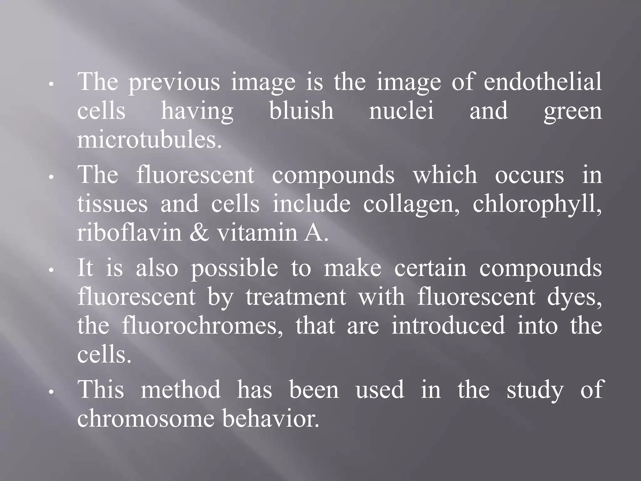 • The previous image is the image of endothelial
cells having bluish nuclei and green
microtubules.
• The fluorescent compounds which occurs in
tissues and cells include collagen, chlorophyll,
riboflavin & vitamin A.
• It is also possible to make certain compounds
fluorescent by treatment with fluorescent dyes,
the fluorochromes, that are introduced into the
cells.
• This method has been used in the study of
chromosome behavior.
 