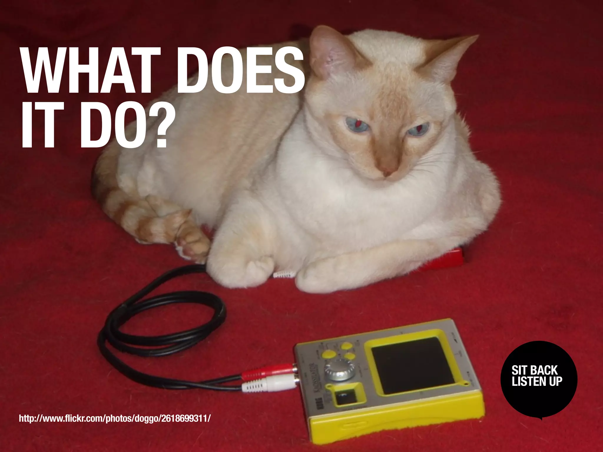 WHAT DOES
IT DO?


                                                 SIT BACK /
                                                  SIT BACK
                                                 LISTENUP
                                                  LISTEN UP



http://www.flickr.com/photos/doggo/2618699311/
 