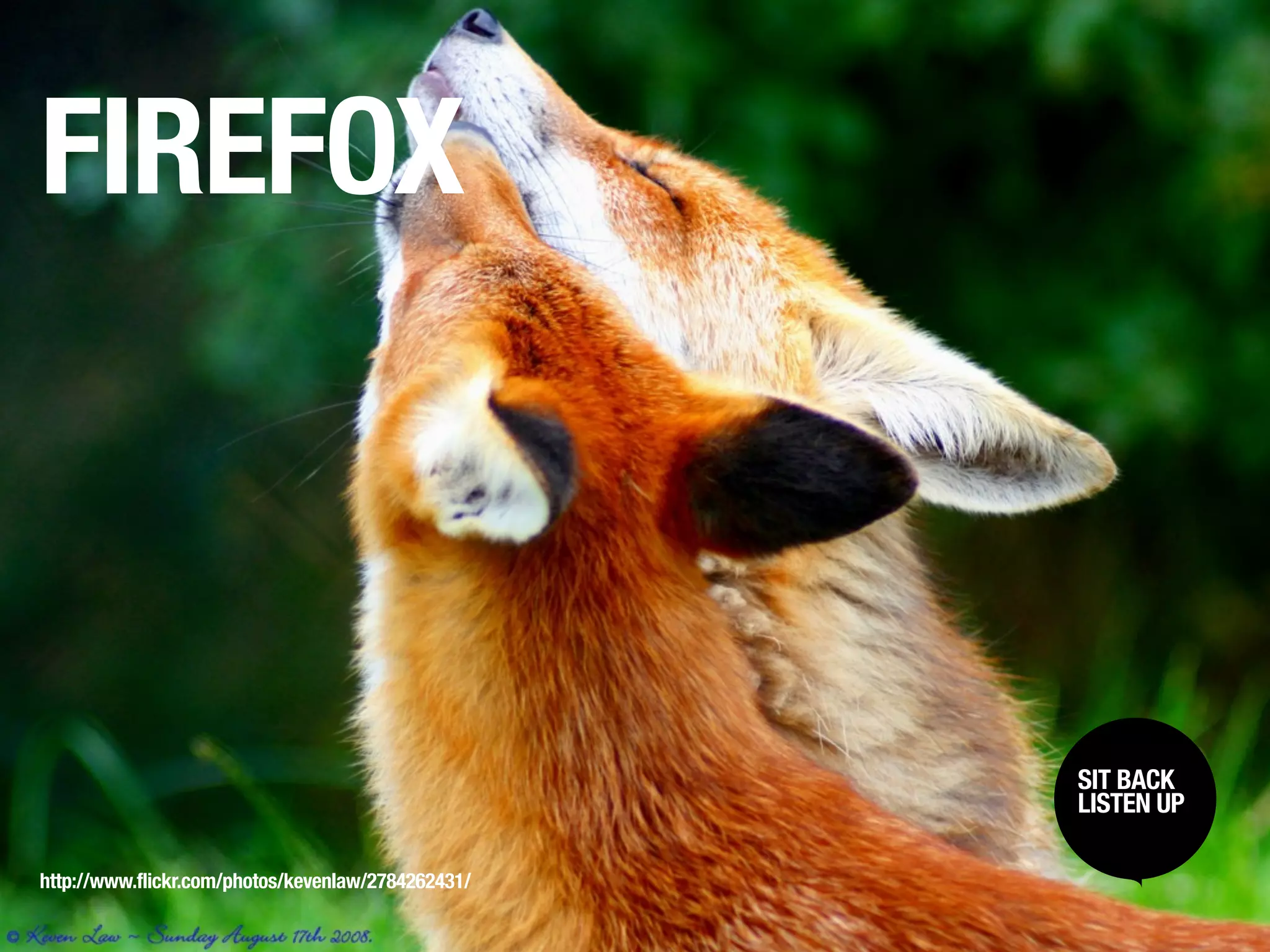 FIREFOX



                                                    SIT BACK /
                                                     SIT BACK
                                                    LISTENUP
                                                     LISTEN UP



http://www.flickr.com/photos/kevenlaw/2784262431/
 