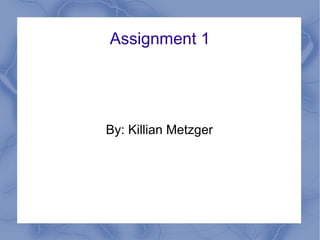 Assignment 1 By: Killian Metzger 