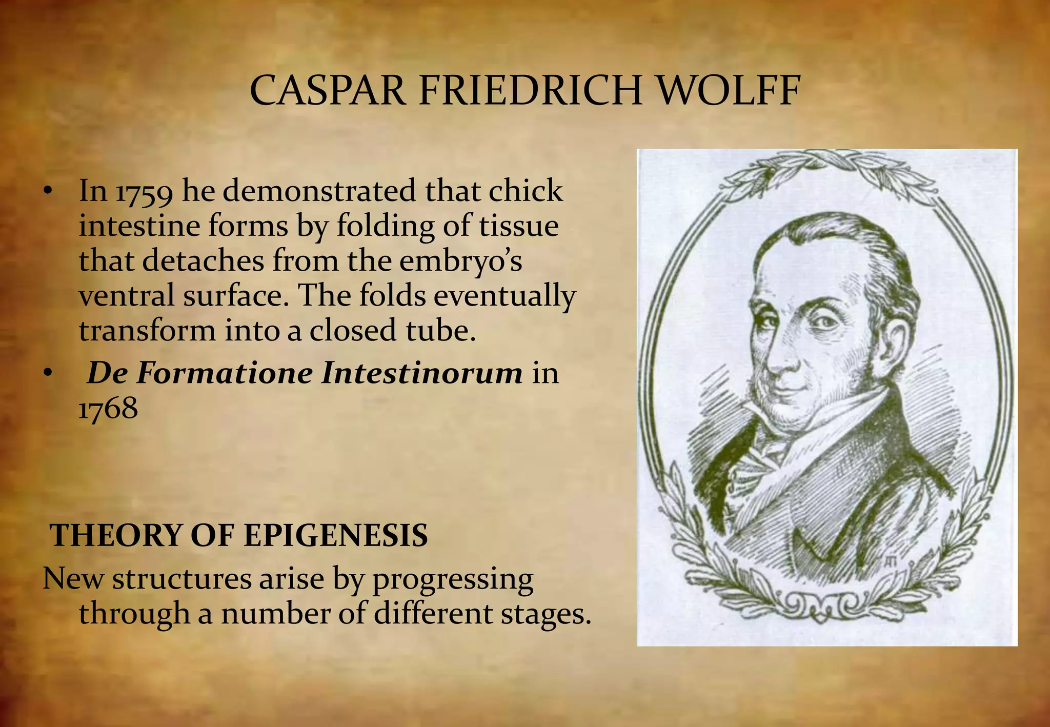 CASPAR FRIEDRICH WOLFF
• In 1759 he demonstrated that chick
intestine forms by folding of tissue
that detaches from the embryo’s
ventral surface. The folds eventually
transform into a closed tube.
• De Formatione Intestinorum in
1768
THEORY OF EPIGENESIS
New structures arise by progressing
through a number of different stages.
 