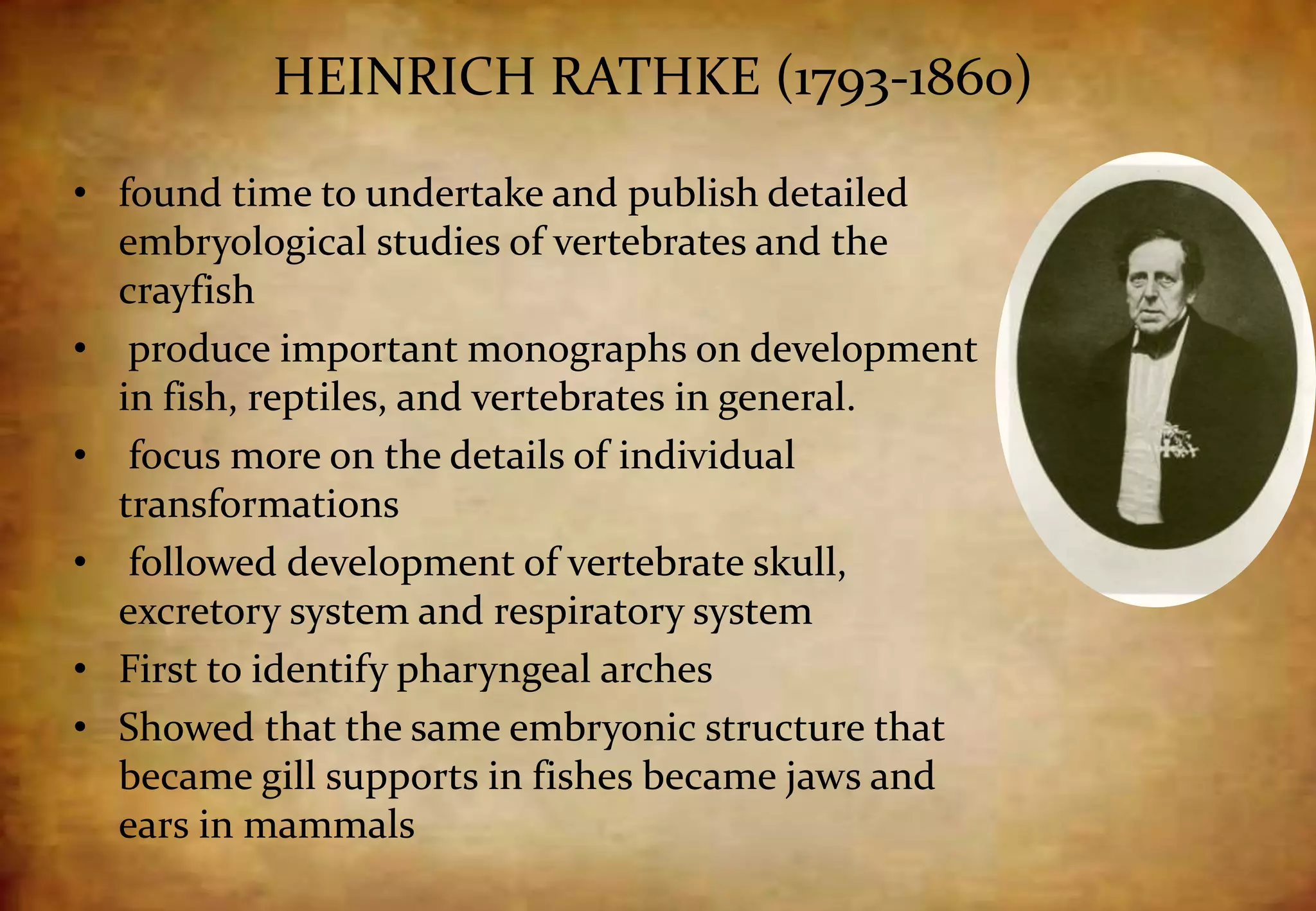 HEINRICH RATHKE (1793-1860)
• found time to undertake and publish detailed
embryological studies of vertebrates and the
crayfish
• produce important monographs on development
in fish, reptiles, and vertebrates in general.
• focus more on the details of individual
transformations
• followed development of vertebrate skull,
excretory system and respiratory system
• First to identify pharyngeal arches
• Showed that the same embryonic structure that
became gill supports in fishes became jaws and
ears in mammals
 