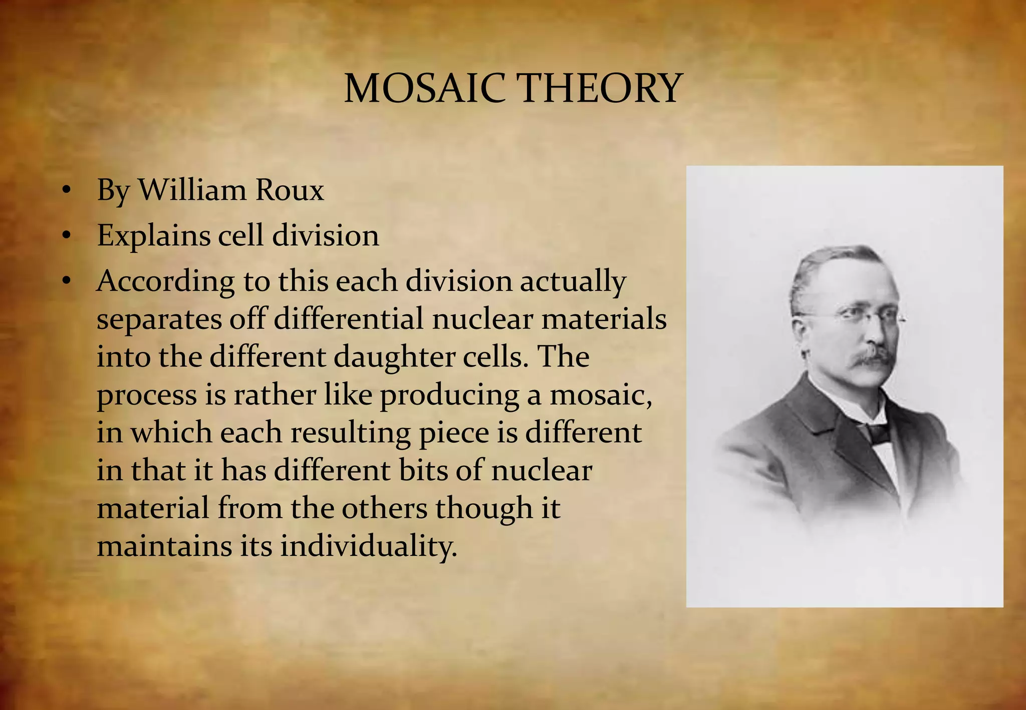 MOSAIC THEORY
• By William Roux
• Explains cell division
• According to this each division actually
separates off differential nuclear materials
into the different daughter cells. The
process is rather like producing a mosaic,
in which each resulting piece is different
in that it has different bits of nuclear
material from the others though it
maintains its individuality.
 