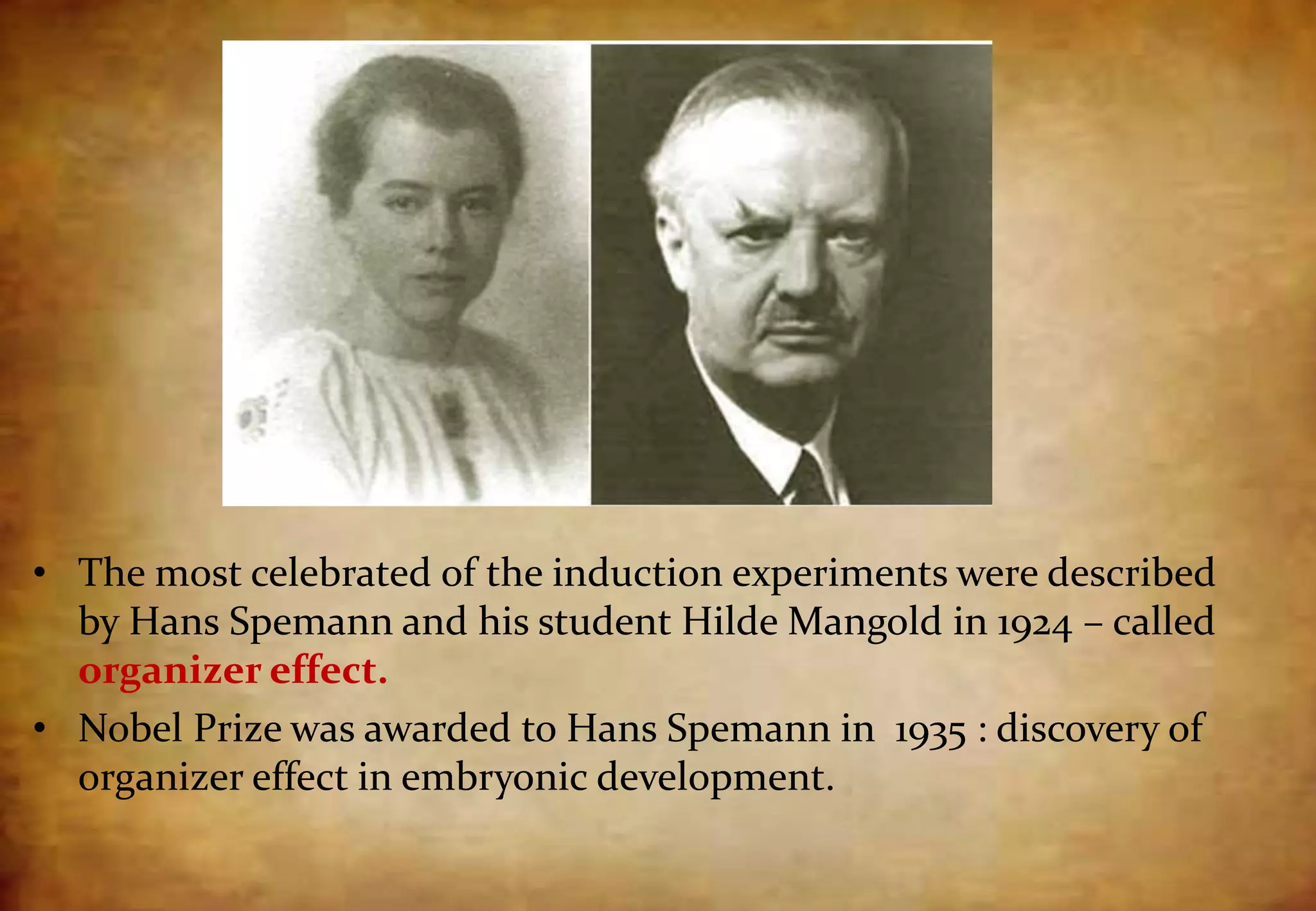 • The most celebrated of the induction experiments were described
by Hans Spemann and his student Hilde Mangold in 1924 – called
organizer effect.
• Nobel Prize was awarded to Hans Spemann in 1935 : discovery of
organizer effect in embryonic development.
 