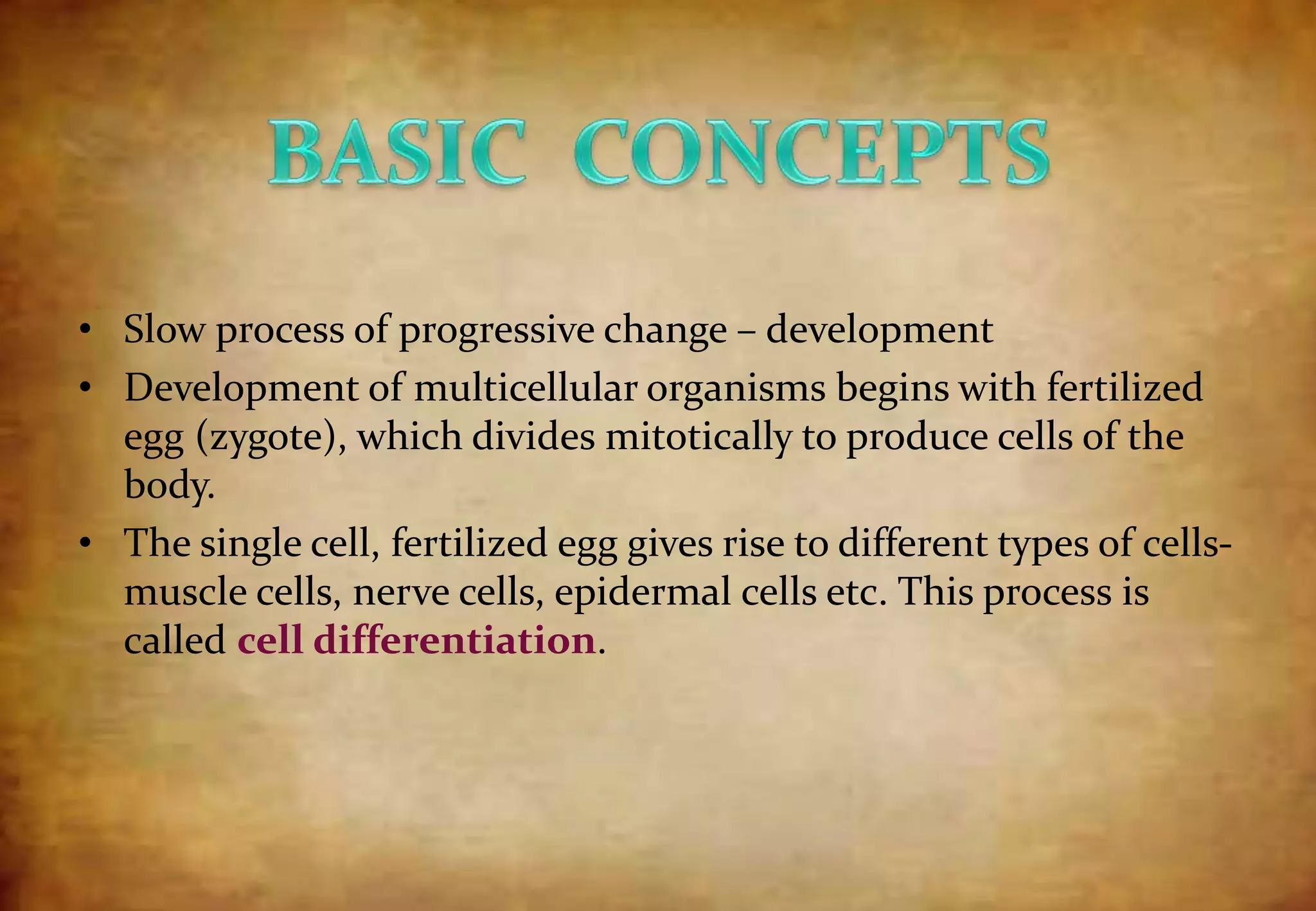 • Slow process of progressive change – development
• Development of multicellular organisms begins with fertilized
egg (zygote), which divides mitotically to produce cells of the
body.
• The single cell, fertilized egg gives rise to different types of cells-
muscle cells, nerve cells, epidermal cells etc. This process is
called cell differentiation.
 