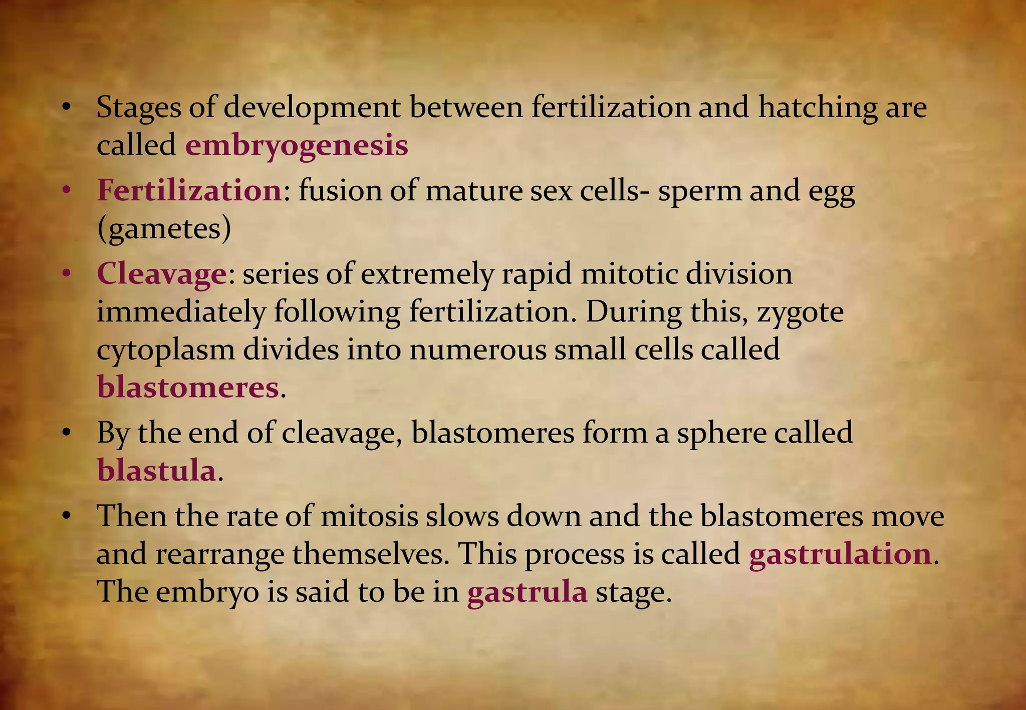 • Stages of development between fertilization and hatching are
called embryogenesis
• Fertilization: fusion of mature sex cells- sperm and egg
(gametes)
• Cleavage: series of extremely rapid mitotic division
immediately following fertilization. During this, zygote
cytoplasm divides into numerous small cells called
blastomeres.
• By the end of cleavage, blastomeres form a sphere called
blastula.
• Then the rate of mitosis slows down and the blastomeres move
and rearrange themselves. This process is called gastrulation.
The embryo is said to be in gastrula stage.
 
