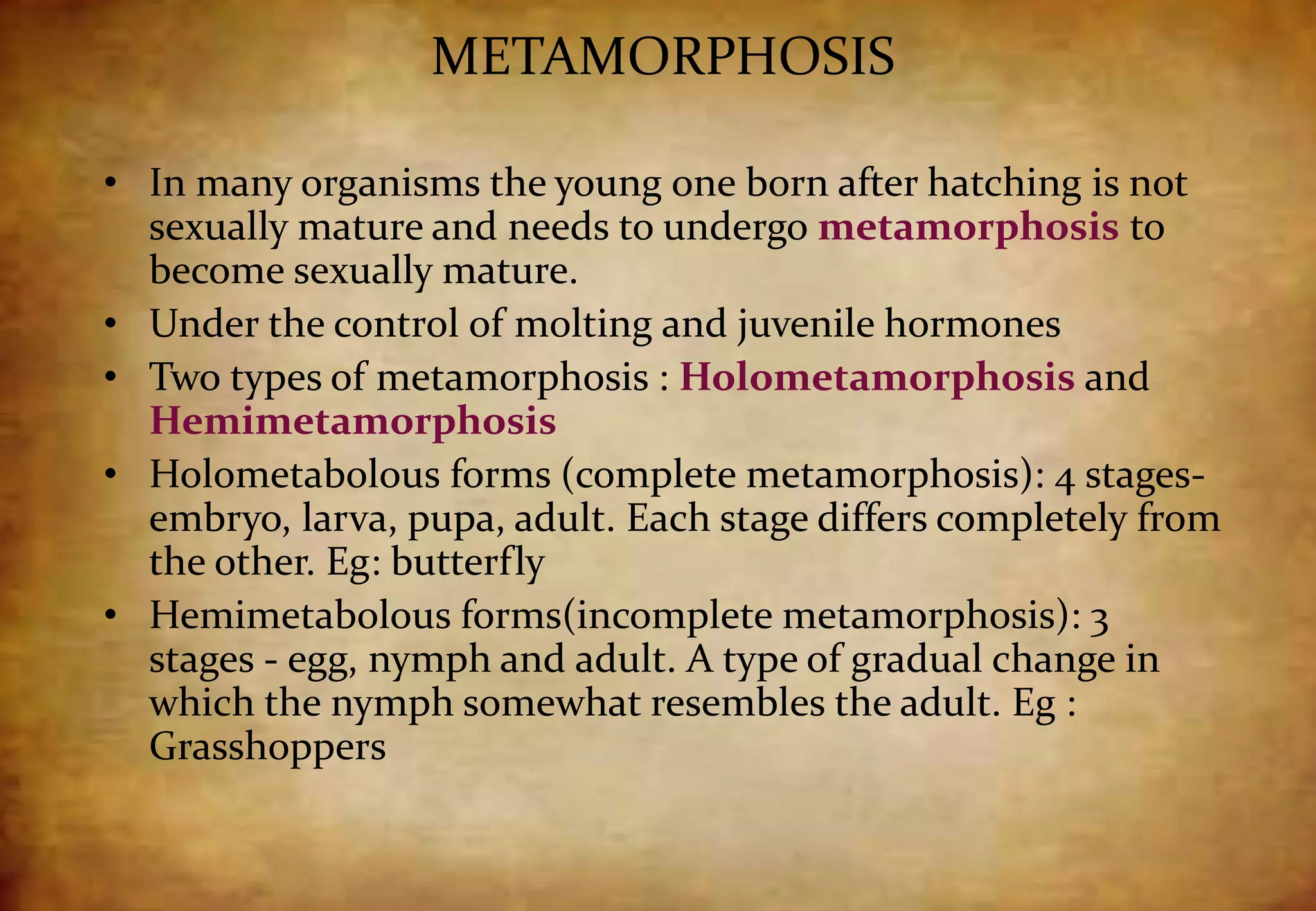 METAMORPHOSIS
• In many organisms the young one born after hatching is not
sexually mature and needs to undergo metamorphosis to
become sexually mature.
• Under the control of molting and juvenile hormones
• Two types of metamorphosis : Holometamorphosis and
Hemimetamorphosis
• Holometabolous forms (complete metamorphosis): 4 stages-
embryo, larva, pupa, adult. Each stage differs completely from
the other. Eg: butterfly
• Hemimetabolous forms(incomplete metamorphosis): 3
stages - egg, nymph and adult. A type of gradual change in
which the nymph somewhat resembles the adult. Eg :
Grasshoppers
 