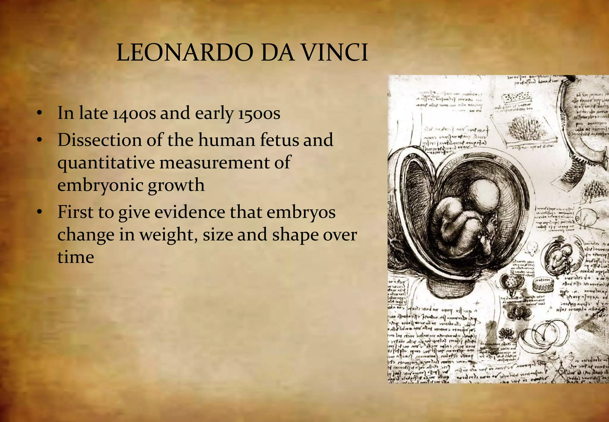 LEONARDO DA VINCI
• In late 1400s and early 1500s
• Dissection of the human fetus and
quantitative measurement of
embryonic growth
• First to give evidence that embryos
change in weight, size and shape over
time
 