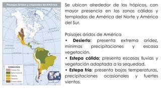 Se ubican alrededor de los trópicos, con
mayor presencia en las zonas cálidas y
templadas de América del Norte y América
del Sur.
Paisajes áridos de América
• Desierto: presenta extrema aridez,
mínimas precipitaciones y escasa
vegetación.
• Estepa cálida: presenta escasas lluvias y
vegetación adaptada a la sequedad.
• Estepa fría: presenta bajas temperaturas,
precipitaciones ocasionales y fuertes
vientos.
 