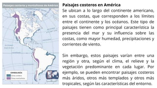 Paisajes costeros en América
Se ubican a lo largo del continente americano,
en sus costas, que corresponden a los límites
entre el continente y los océanos. Este tipo de
paisajes tienen como principal característica la
presencia del mar y su influencia sobre las
costas, como mayor humedad, precipitaciones y
corrientes de viento.
Sin embargo, estos paisajes varían entre una
región y otra, según el clima, el relieve y la
vegetación predominante en cada lugar. Por
ejemplo, se pueden encontrar paisajes costeros
más áridos, otros más templados y otros más
tropicales, según las características del entorno.
 