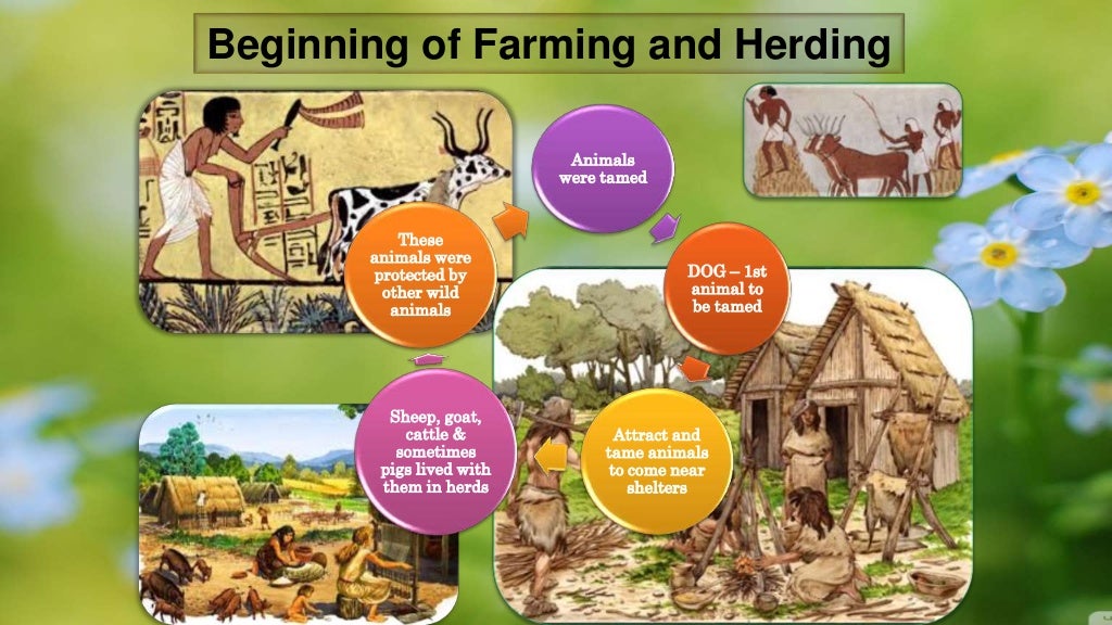 From Hunting Gathering to Growing food