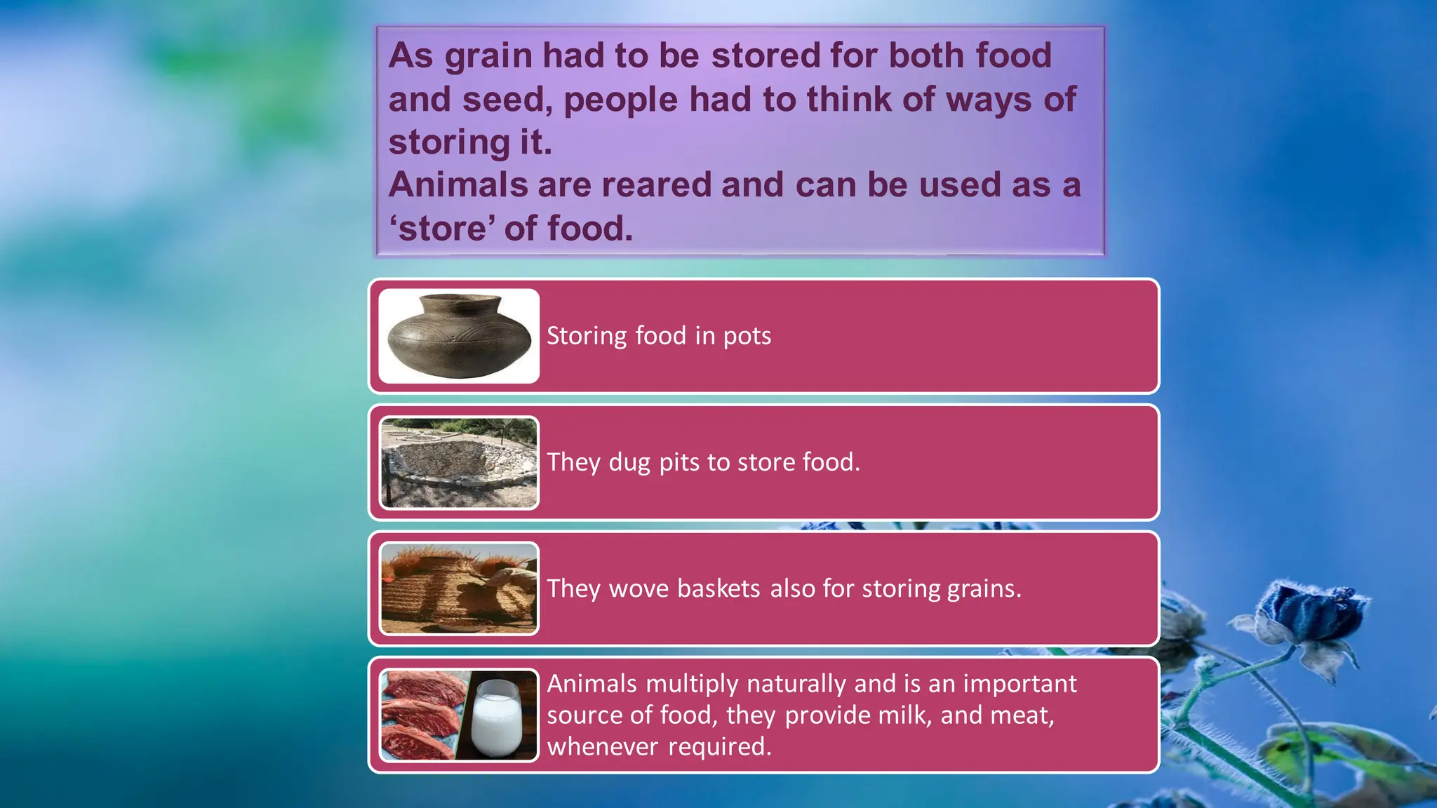 Storing food in pots
They dug pits to store food.
They wove baskets also for storing grains.
Animals multiply naturally and is an important
source of food, they provide milk, and meat,
whenever required.
As grain had to be stored for both food
and seed, people had to think of ways of
storing it.
Animals are reared and can be used as a
‘store’ of food.
 