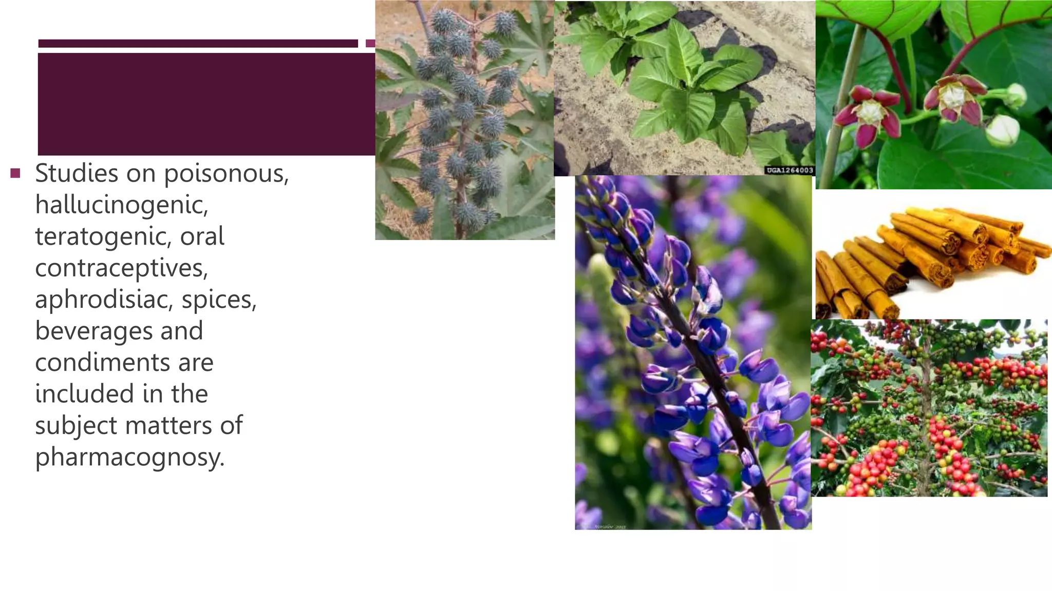 History, definition and scope of pharmacognosy.pptx