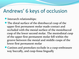 Andrews’ 6 keys of occlusion
Interarch relationships:
The distal surface of the distobuccal cusp of the
upper first permanent molar made contact and
occluded with the mesial surface of the mesiobuccal
cusp of the lower second molar. The mesiodistal cusp
of the upper first permanent molar fell within the
groove between the mesial and middle cusps of the
lower first permanent molar
Canines and premolars occlude in a cusp-embrasure
way buccally, and cusp-fossa lingually
 
