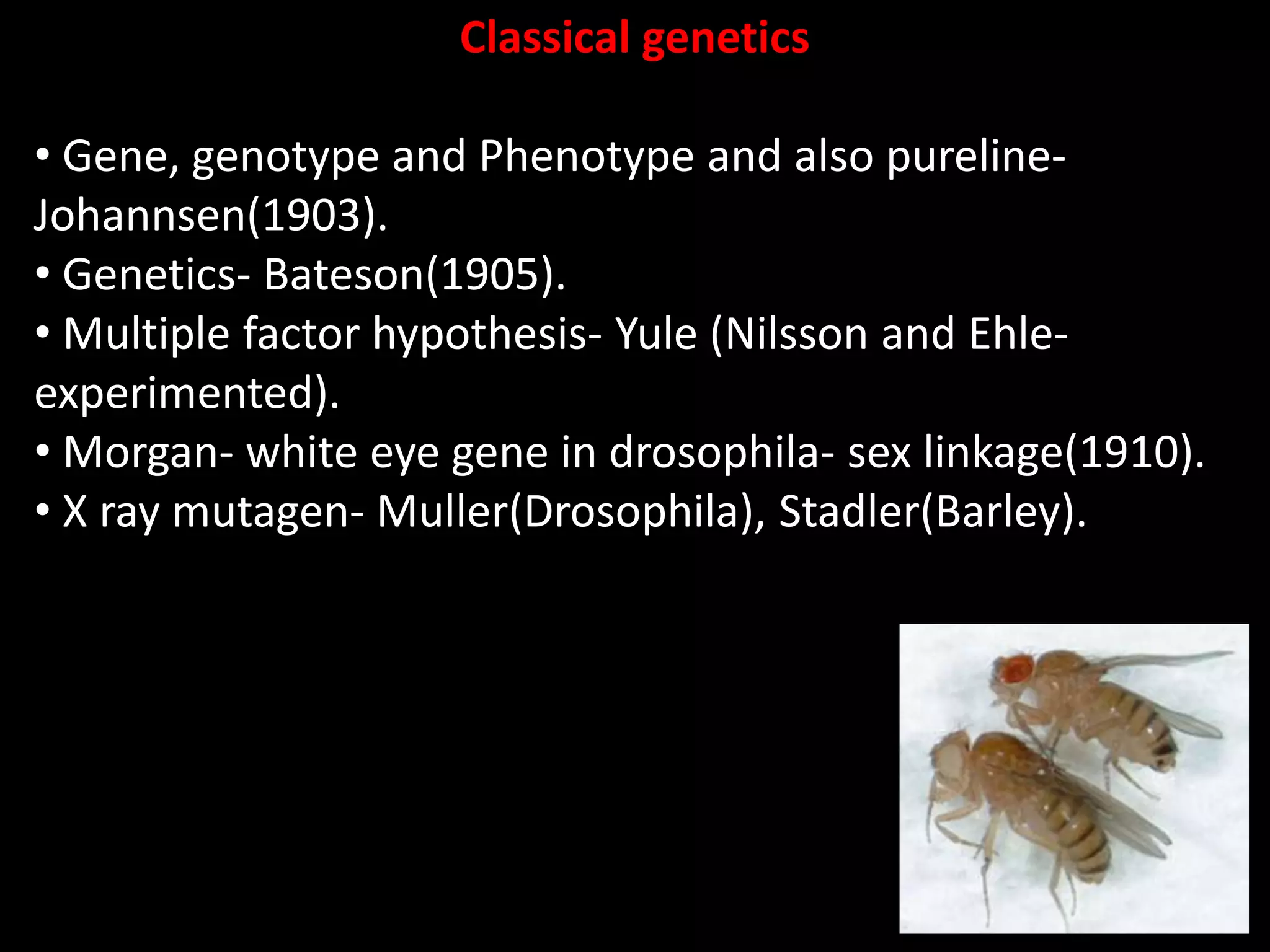 25
Classical genetics
• Gene, genotype and Phenotype and also pureline-
Johannsen(1903).
• Genetics- Bateson(1905).
• Multiple factor hypothesis- Yule (Nilsson and Ehle-
experimented).
• Morgan- white eye gene in drosophila- sex linkage(1910).
• X ray mutagen- Muller(Drosophila), Stadler(Barley).
 