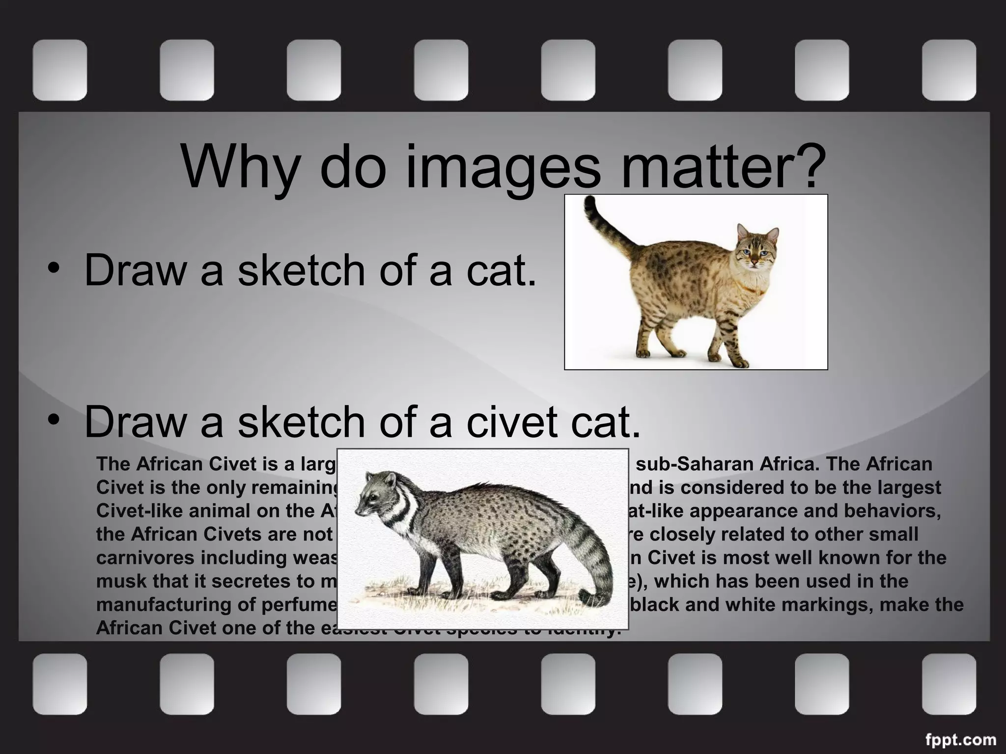 Why do images matter? 
• Draw a sketch of a cat. 
• Draw a sketch of a civet cat. 
The African Civet is a large species of Civet found across sub-Saharan Africa. The African 
Civet is the only remaining member in its genetic group and is considered to be the largest 
Civet-like animal on the African continent. Despite their cat-like appearance and behaviors, 
the African Civets are not felines at all but are in fact, more closely related to other small 
carnivores including weasels and mongooses. The African Civet is most well known for the 
musk that it secretes to mark it's territory (called Civetone), which has been used in the 
manufacturing of perfumes for centuries, and its striking black and white markings, make the 
African Civet one of the easiest Civet species to identify. 
 