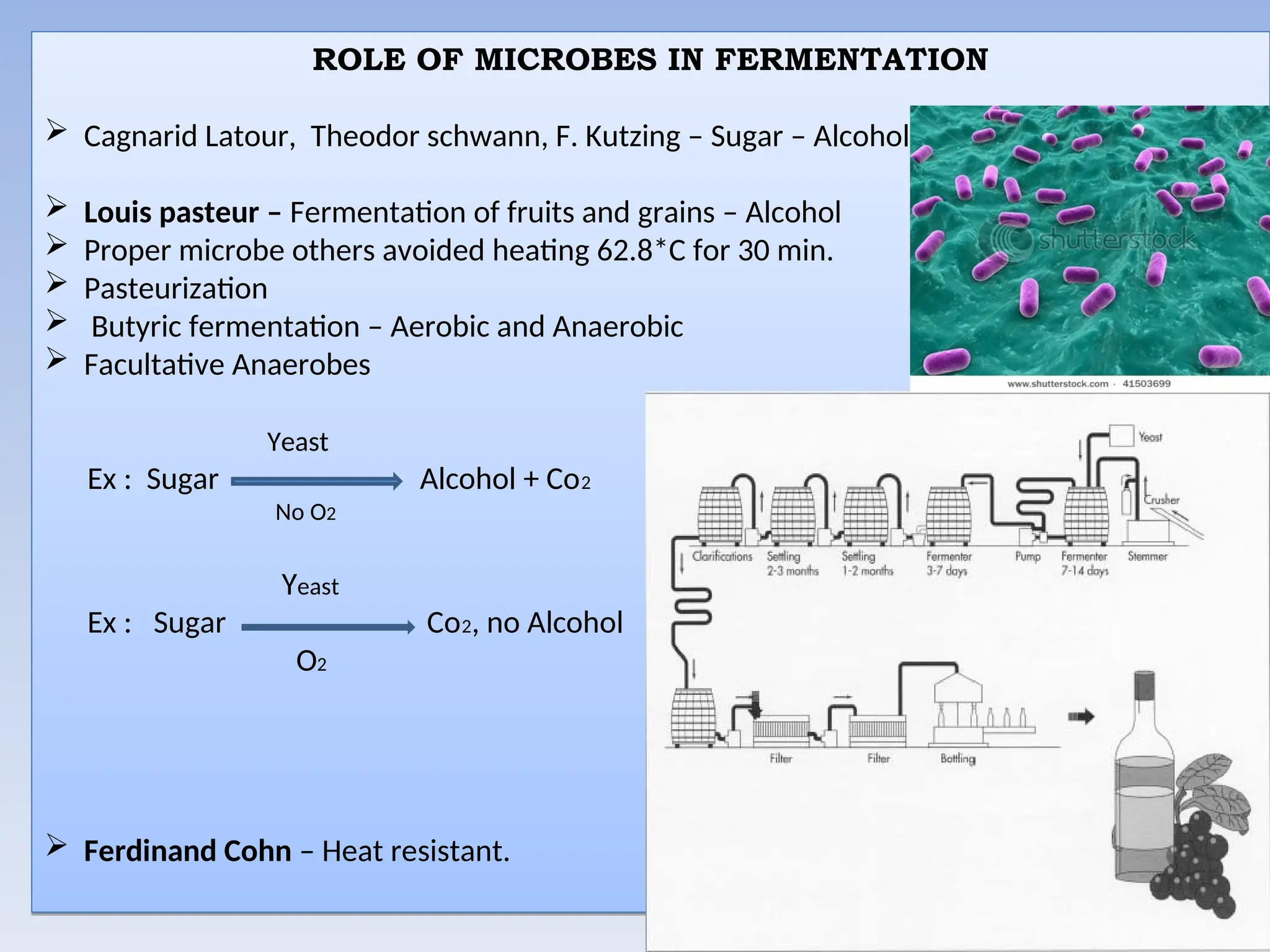 ROLE OF MICROBES IN FERMENTATION
 Cagnarid Latour, Theodor schwann, F. Kutzing – Sugar – Alcohol.
 Louis pasteur – Fermentation of fruits and grains – Alcohol
 Proper microbe others avoided heating 62.8*C for 30 min.
 Pasteurization
 Butyric fermentation – Aerobic and Anaerobic
 Facultative Anaerobes
Yeast
Ex : Sugar Alcohol + Co2
No O2
Yeast
Ex : Sugar Co2, no Alcohol
O2
 Ferdinand Cohn – Heat resistant.
 
