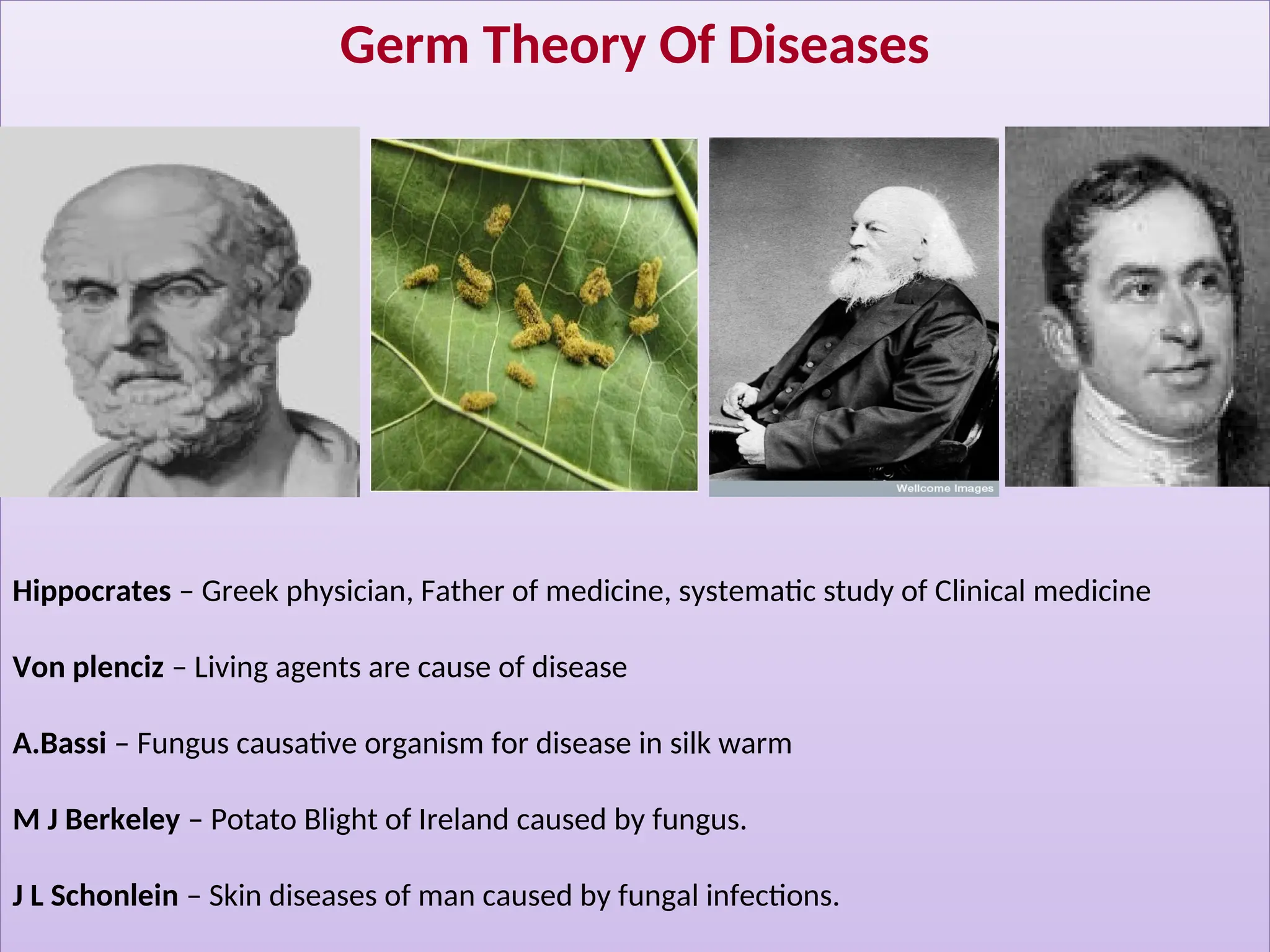 Germ Theory Of Diseases
Hippocrates – Greek physician, Father of medicine, systematic study of Clinical medicine
Von plenciz – Living agents are cause of disease
A.Bassi – Fungus causative organism for disease in silk warm
M J Berkeley – Potato Blight of Ireland caused by fungus.
J L Schonlein – Skin diseases of man caused by fungal infections.
 