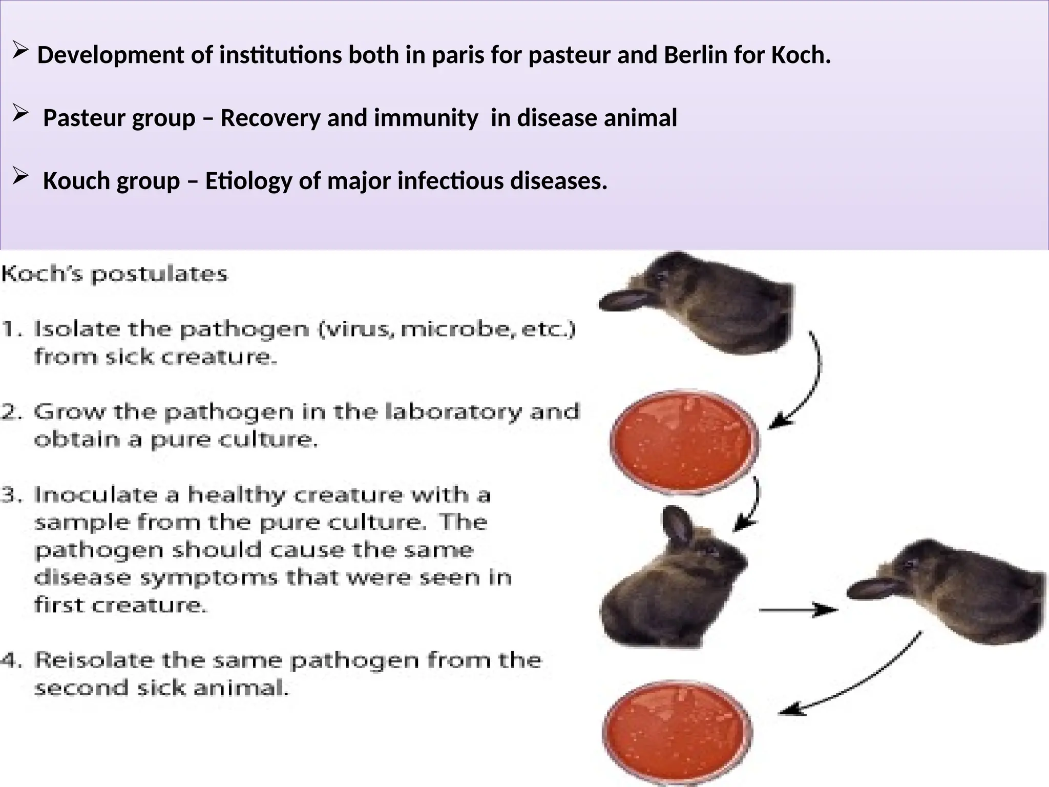  Development of institutions both in paris for pasteur and Berlin for Koch.
 Pasteur group – Recovery and immunity in disease animal
 Kouch group – Etiology of major infectious diseases.
 