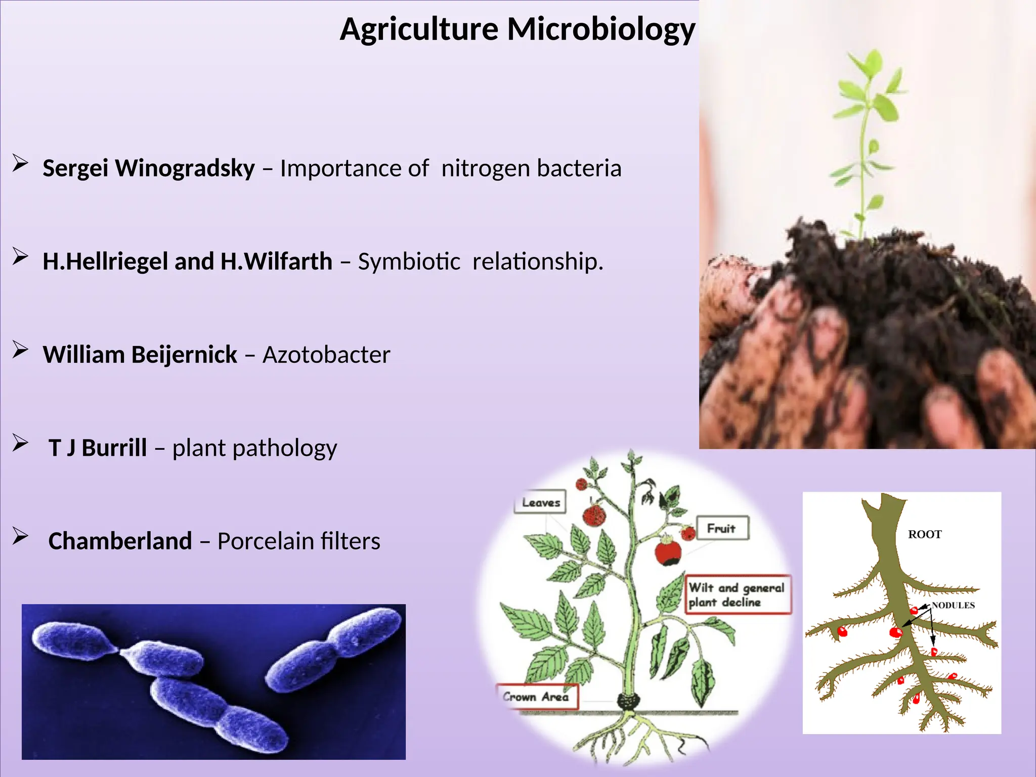 Agriculture Microbiology
 Sergei Winogradsky – Importance of nitrogen bacteria
 H.Hellriegel and H.Wilfarth – Symbiotic relationship.
 William Beijernick – Azotobacter
 T J Burrill – plant pathology
 Chamberland – Porcelain filters
 