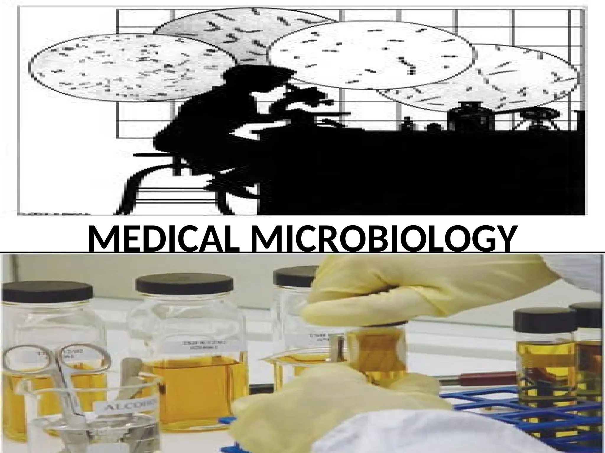 MEDICAL MICROBIOLOGY
 