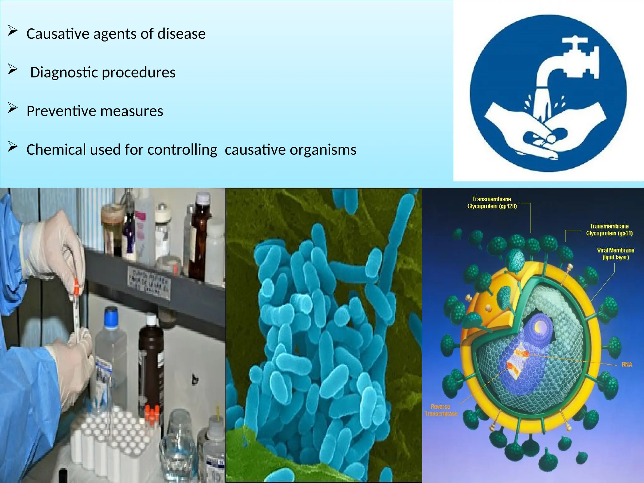  Causative agents of disease
 Diagnostic procedures
 Preventive measures
 Chemical used for controlling causative organisms
 