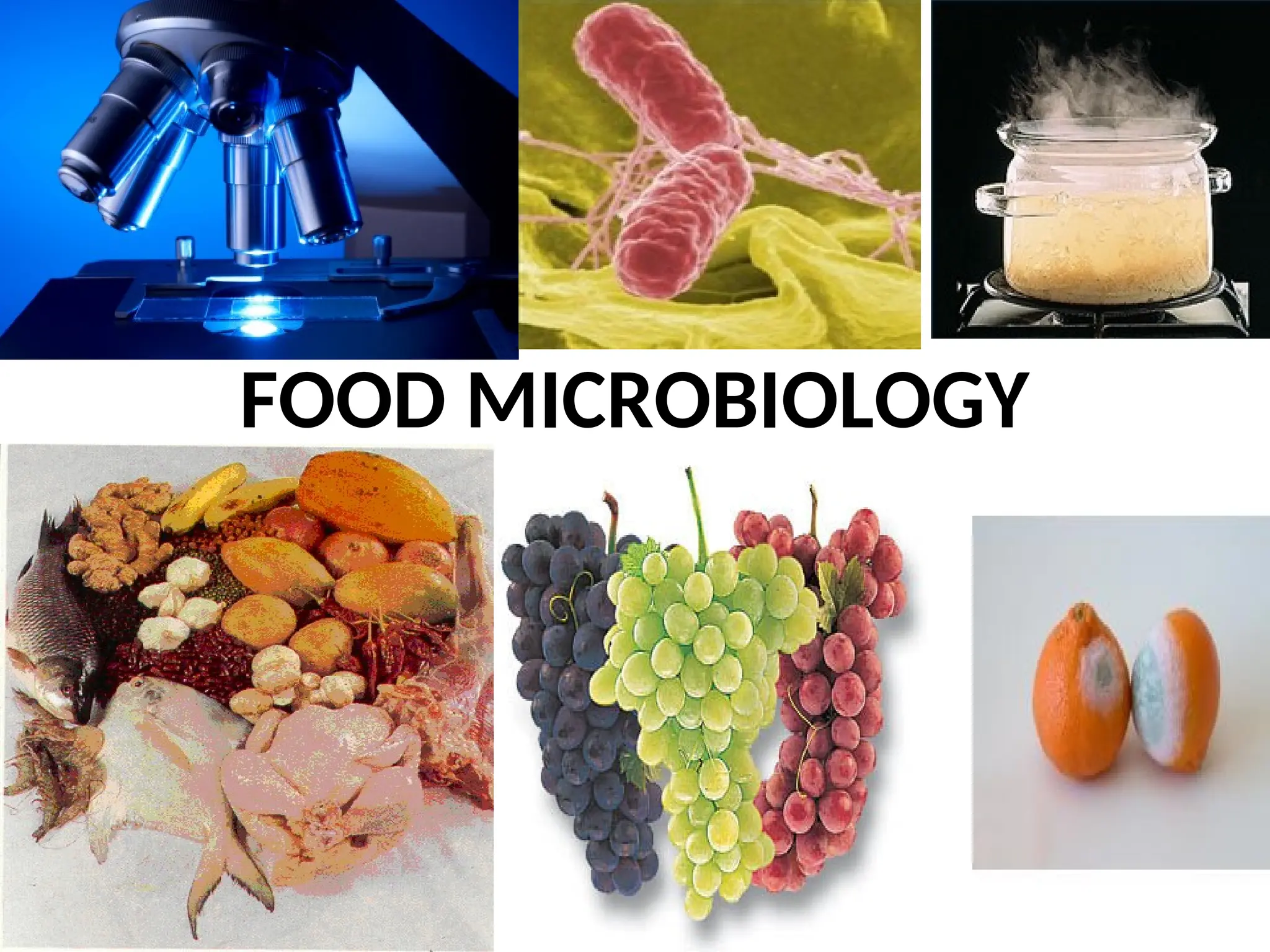 FOOD MICROBIOLOGY
 