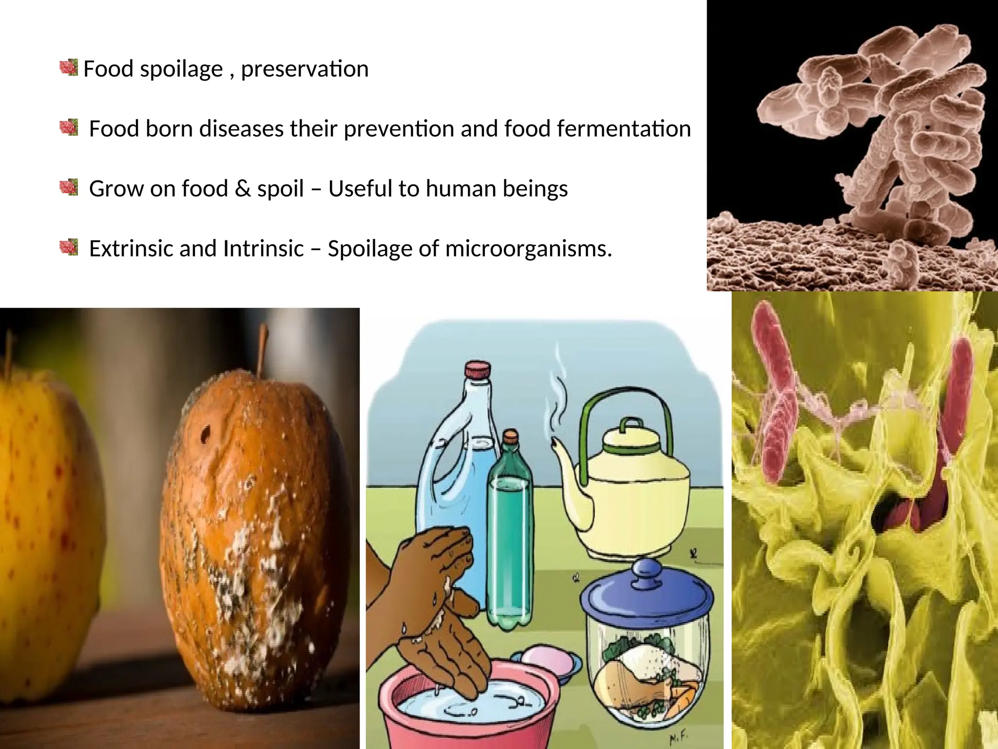 Food spoilage , preservation
Food born diseases their prevention and food fermentation
Grow on food & spoil – Useful to human beings
Extrinsic and Intrinsic – Spoilage of microorganisms.
 