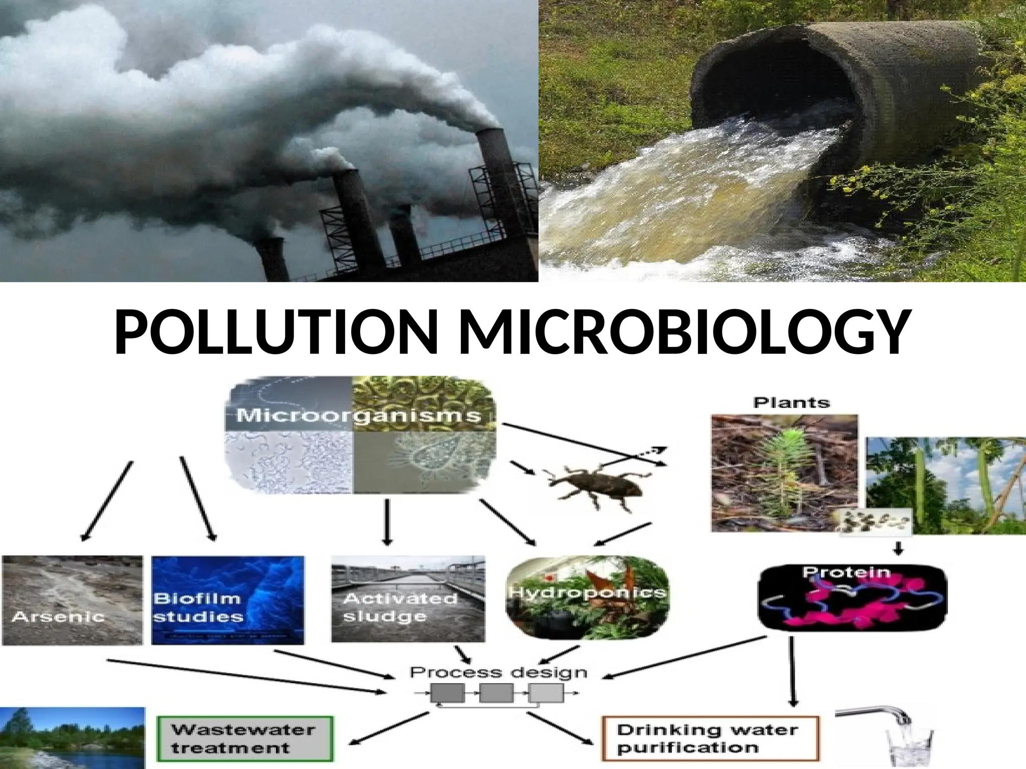 POLLUTION MICROBIOLOGY
 