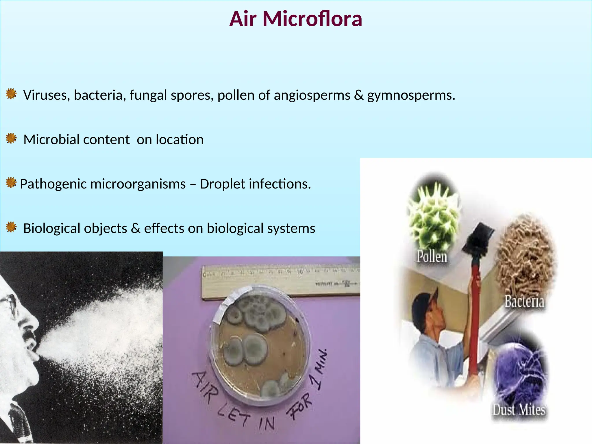 Air Microflora
Viruses, bacteria, fungal spores, pollen of angiosperms & gymnosperms.
Microbial content on location
Pathogenic microorganisms – Droplet infections.
Biological objects & effects on biological systems
 