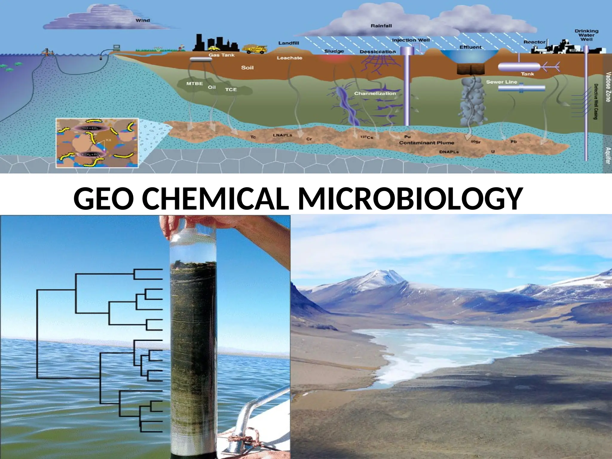 GEO CHEMICAL MICROBIOLOGY
 