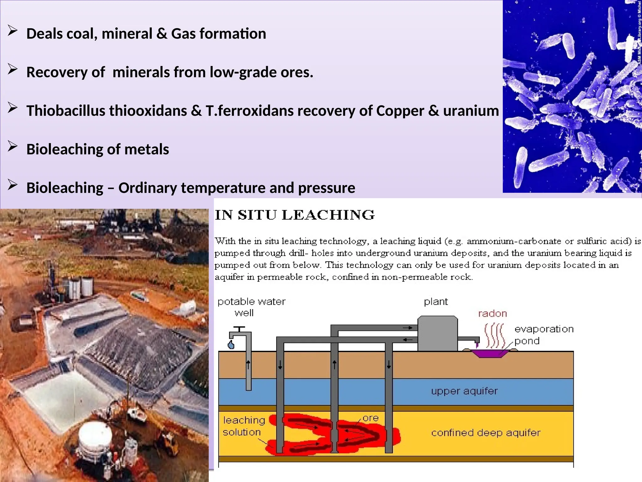  Deals coal, mineral & Gas formation
 Recovery of minerals from low-grade ores.
 Thiobacillus thiooxidans & T.ferroxidans recovery of Copper & uranium
 Bioleaching of metals
 Bioleaching – Ordinary temperature and pressure
 