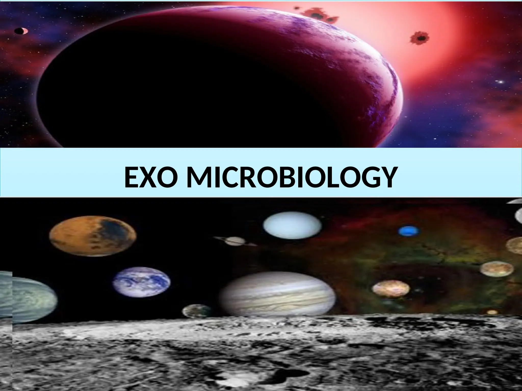 EXO MICROBIOLOGY
 