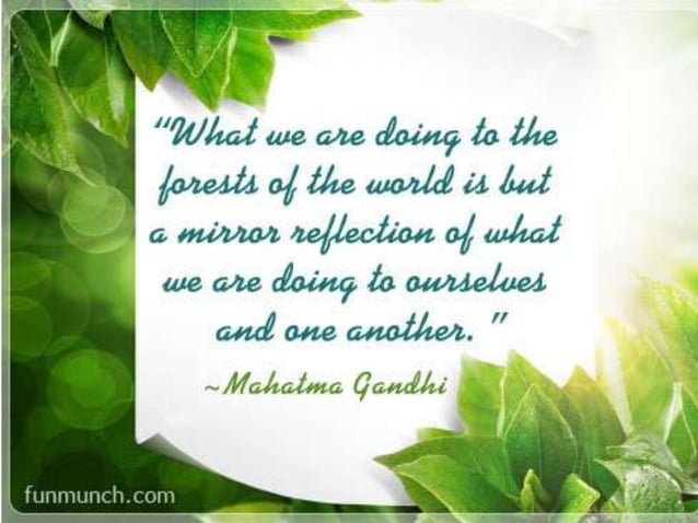 History Of Environmental Science