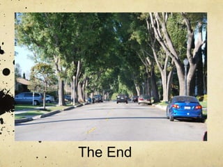 kandou project bolsa