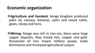 Economic organization
❖Agriculture and livestock: kongo kingdom produced
palm oil, cassava, bananas, yams and raised cattle,
goats, sheep and hens.
❖Mining: Kongo was rich in iron ore, there were large
copper deposits, they mined iron, copper and gold.
Possession of Iron meant military power, trade
dominance and increased agricultural output.
 