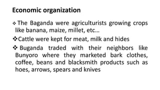Economic organization
❖ The Baganda were agriculturists growing crops
like banana, maize, millet, etc…
❖Cattle were kept for meat, milk and hides
❖ Buganda traded with their neighbors like
Bunyoro where they marketed bark clothes,
coffee, beans and blacksmith products such as
hoes, arrows, spears and knives
 