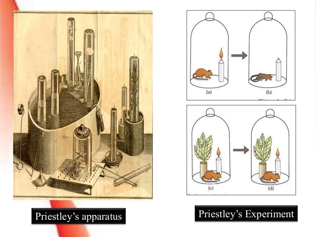 History of anaesthesia
