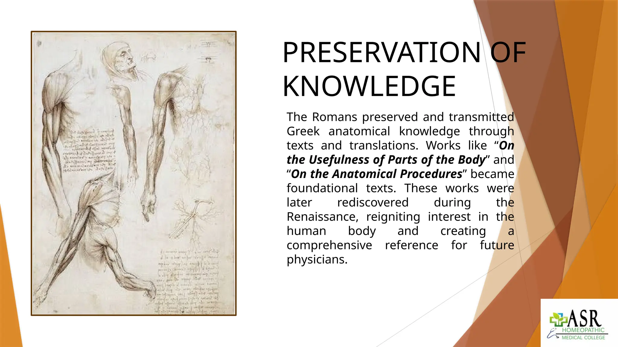 History of Anatomy during the Roman Period | PPTX