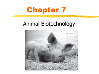 Chapter 7
Animal Biotechnology
 
