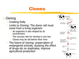 Clones
z Cloning
• Creating Dolly
• Limits to Cloning: The donor cell must
come from a living organism
• An organism is al...