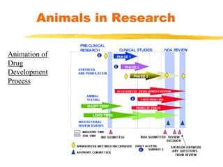 Animals in Research
Animation of
Drug
Development
Process
 