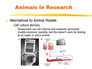 z Alternatives to Animal Models
• Cell culture devices
• Researchers use cell cultures and computer-generated
models whene...