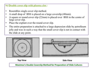 History of animal cell culture, cell final | PPTX